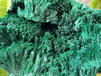 Natural Silky Malachite Specimens x 2 From Kasompe, Congo