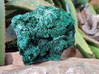 Natural Silky Malachite Specimens x 2 From Kasompe, Congo