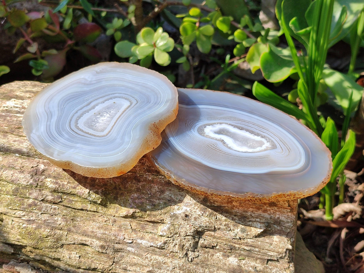 Polished Banded Agate Slices x 5 From Madagascar - Toprock Gemstones and Minerals 