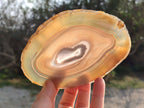 Polished Banded Agate Slices x 5 From Madagascar - Toprock Gemstones and Minerals 