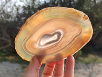 Polished Banded Agate Slices x 5 From Madagascar