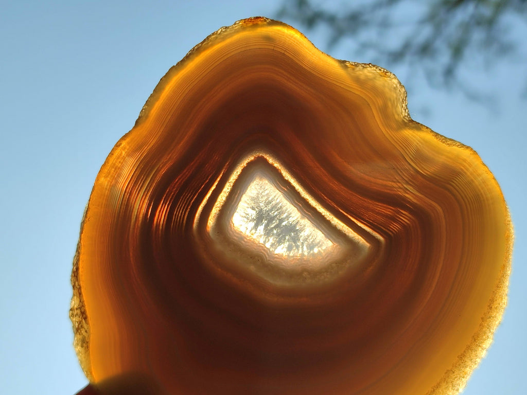 Polished Banded Agate Slices x 5 From Madagascar - Toprock Gemstones and Minerals 