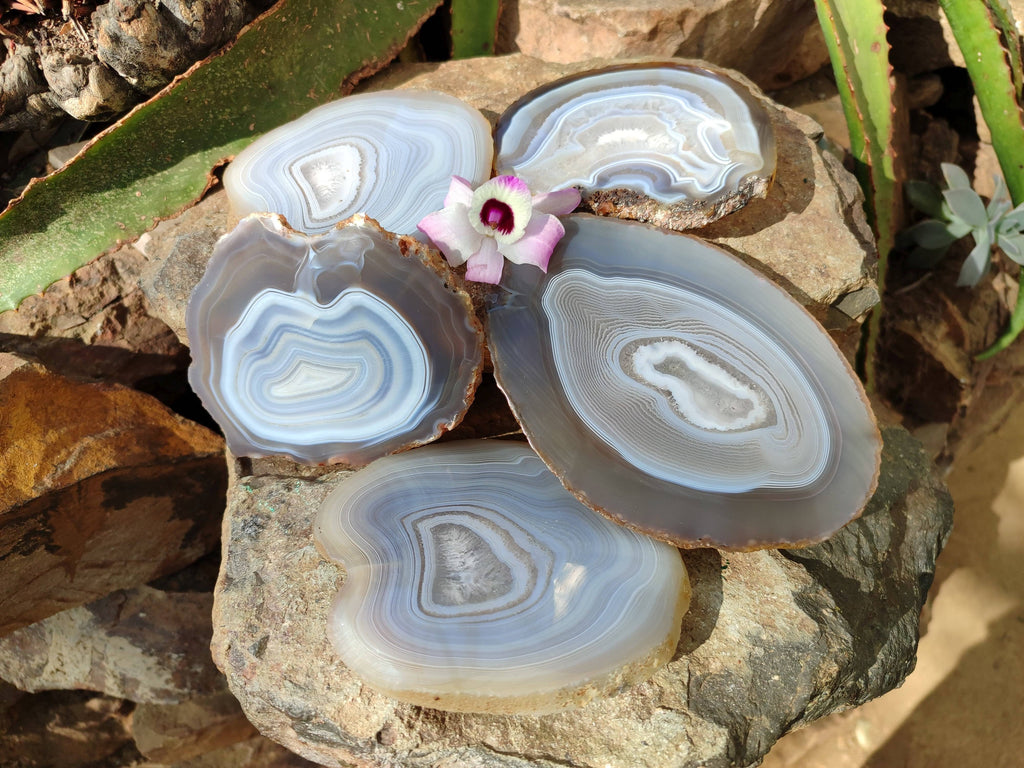 Polished Banded Agate Slices x 5 From Madagascar - Toprock Gemstones and Minerals 