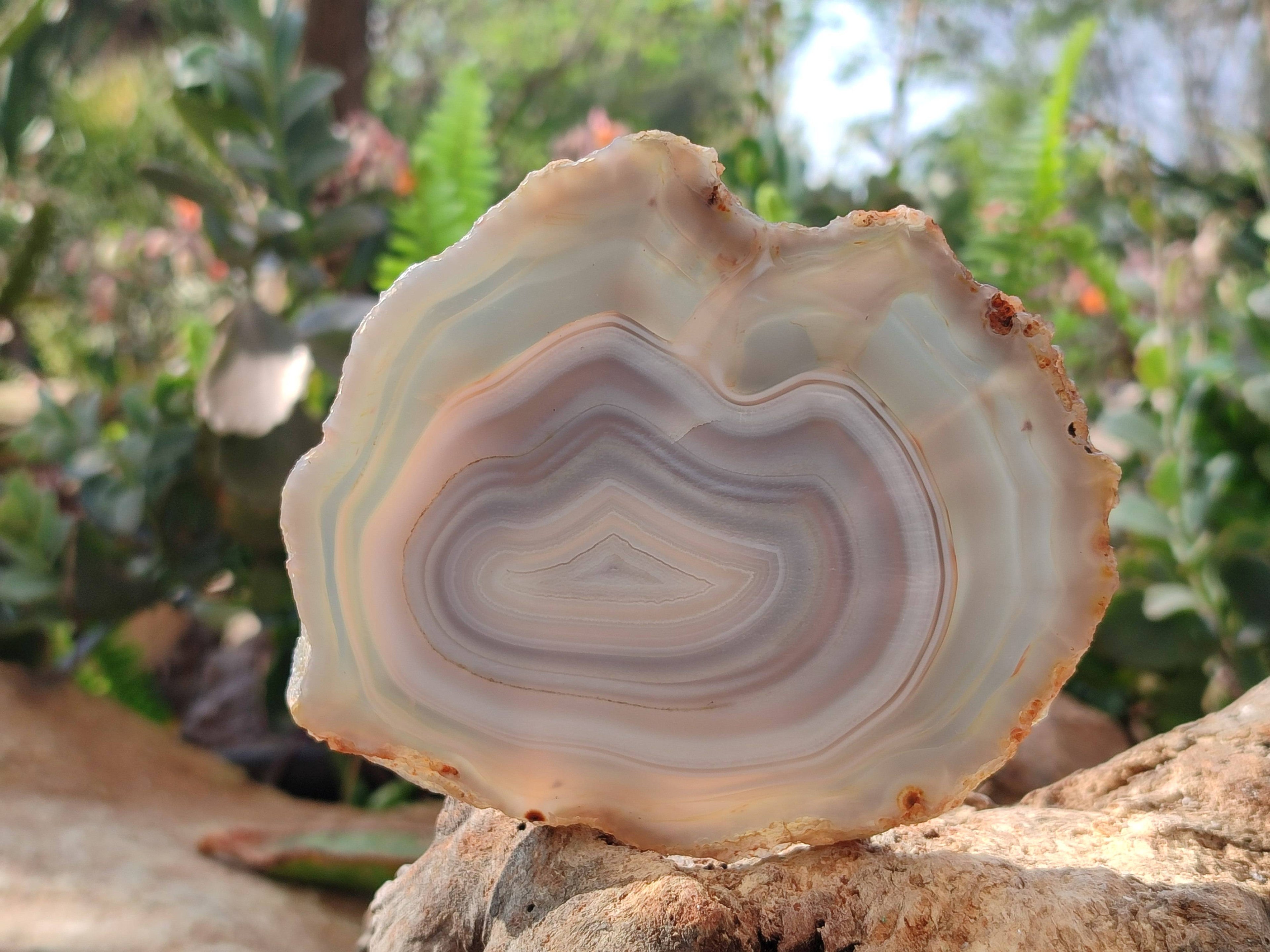 Polished Banded Agate Slices x 5 From Madagascar - Toprock Gemstones and Minerals 