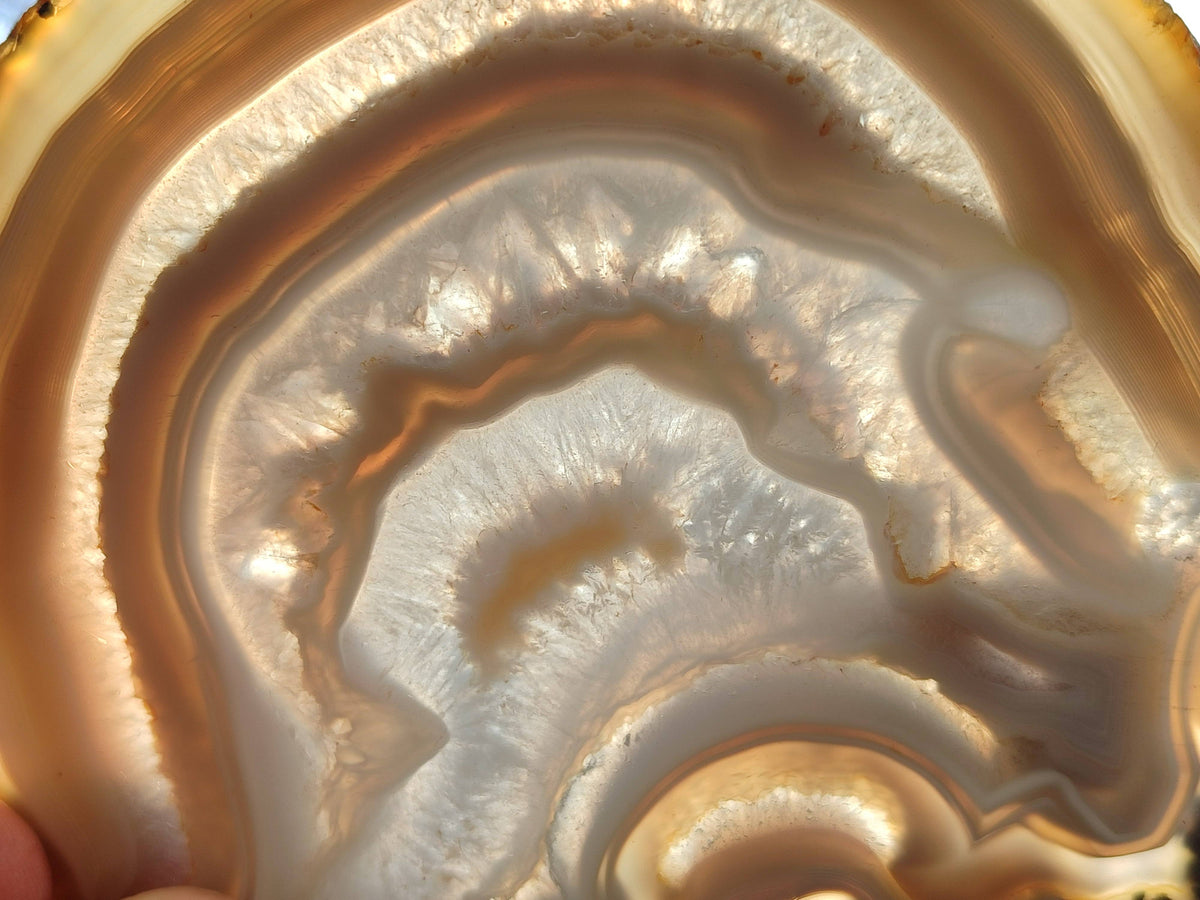 Polished Banded Agate Slices x 5 From Madagascar - Toprock Gemstones and Minerals 