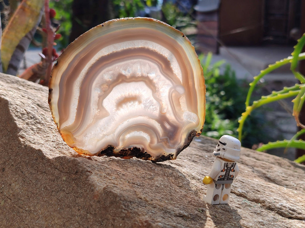 Polished Banded Agate Slices x 5 From Madagascar - Toprock Gemstones and Minerals 