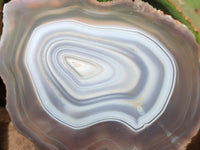 Polished Banded Agate Slices x 5 From Madagascar