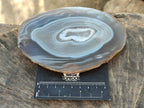 Polished Banded Agate Slices x 5 From Madagascar - Toprock Gemstones and Minerals 