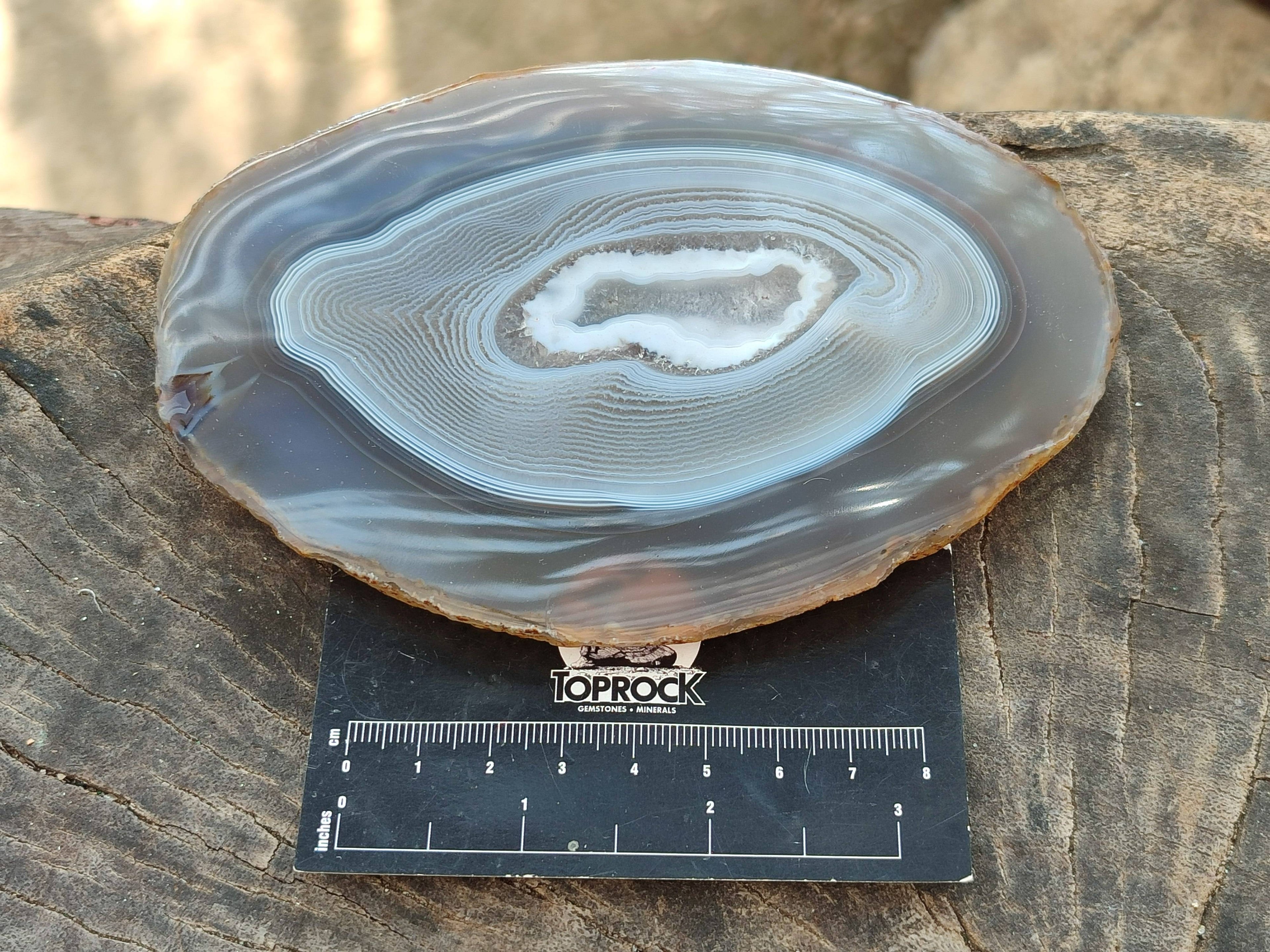 Polished Banded Agate Slices x 5 From Madagascar - Toprock Gemstones and Minerals 
