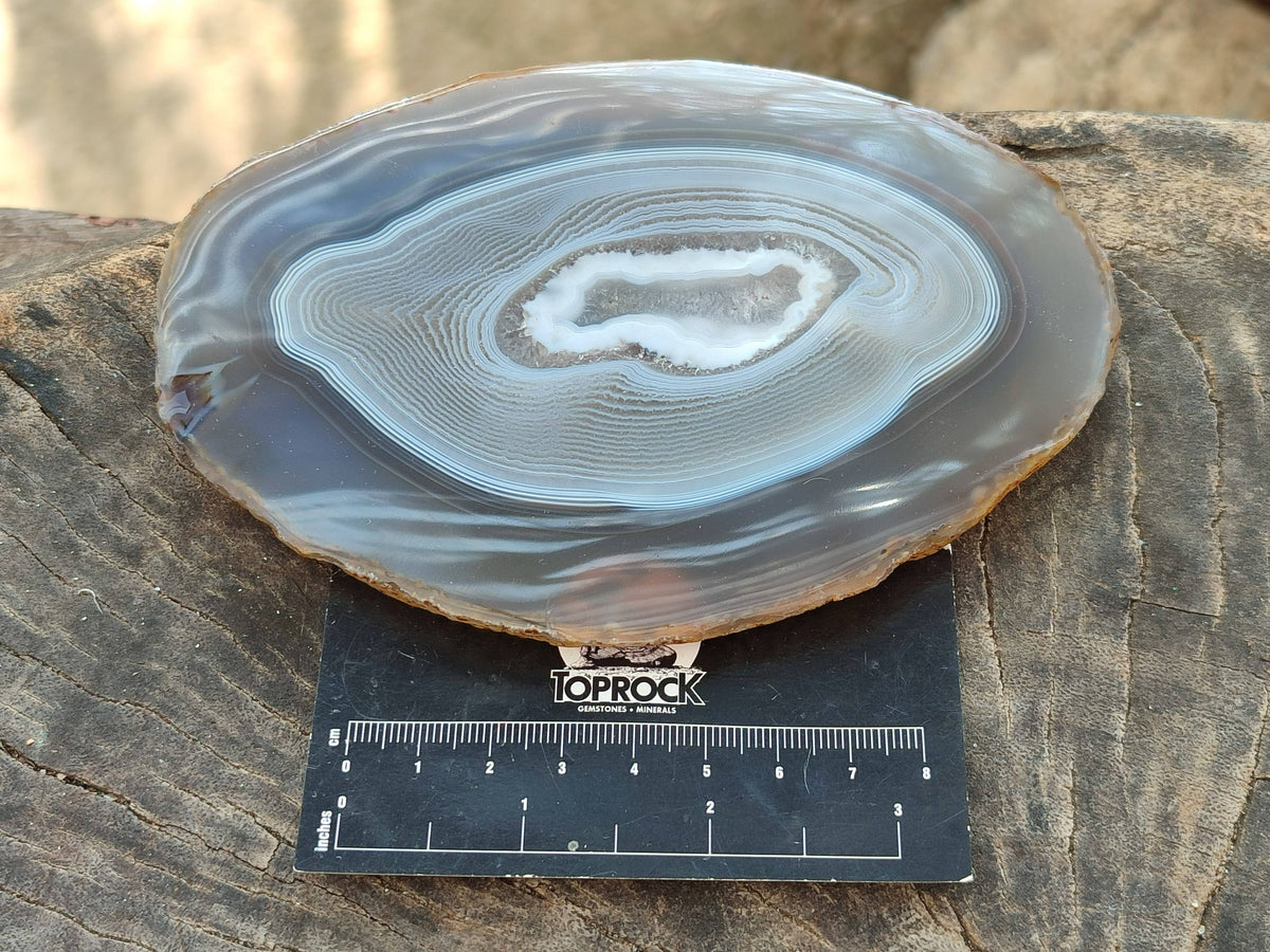 Polished Banded Agate Slices x 5 From Madagascar - Toprock Gemstones and Minerals 