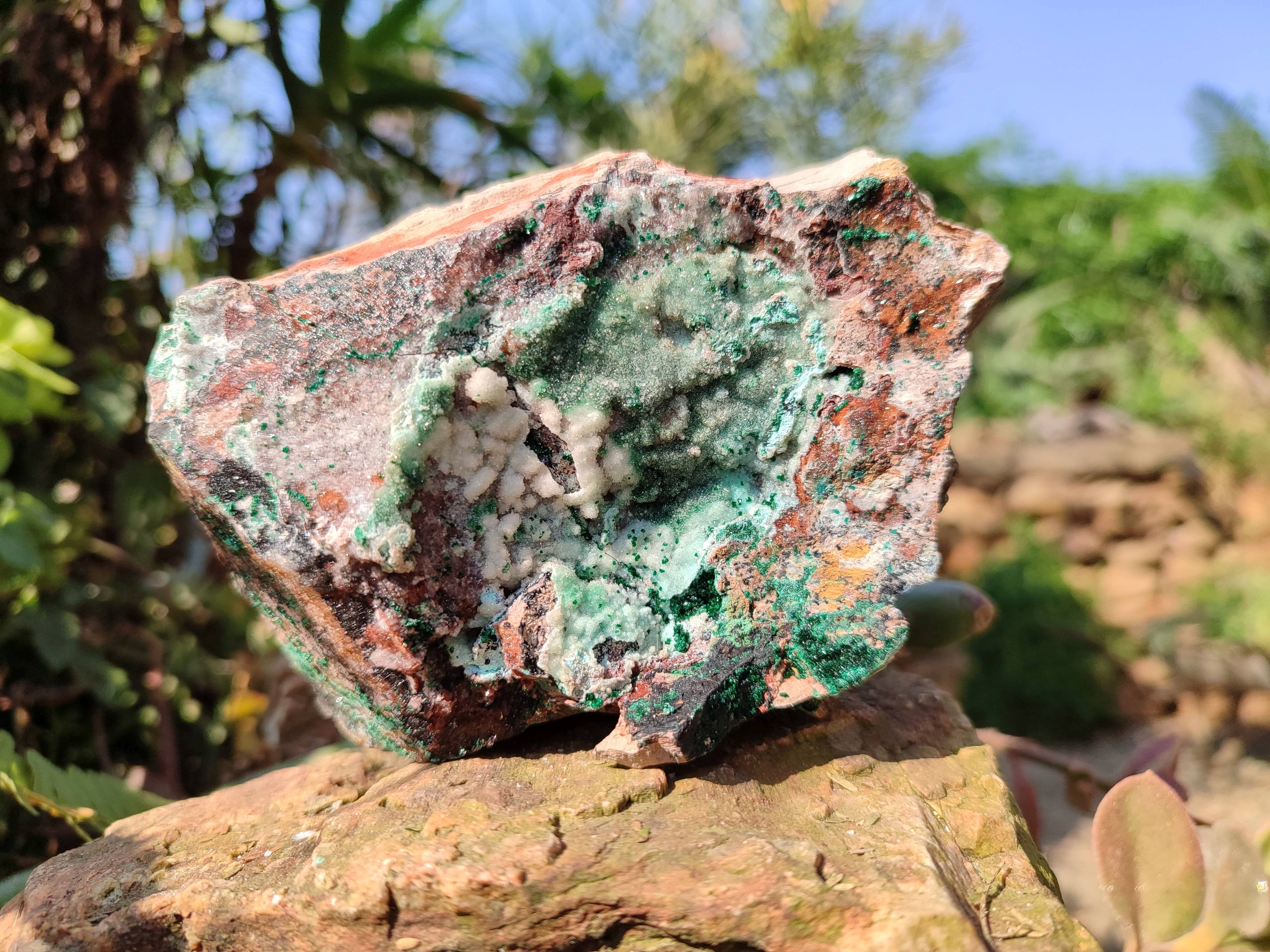 Natural Drusy Coated Chrysocolla with Malachite x 2 From Lupoto Mine, Congo - Toprock Gemstones and Minerals 