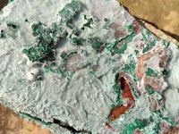 Natural Drusy Coated Chrysocolla with Malachite x 2 From Lupoto Mine, Congo