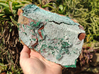 Natural Drusy Coated Chrysocolla with Malachite x 2 From Lupoto Mine, Congo