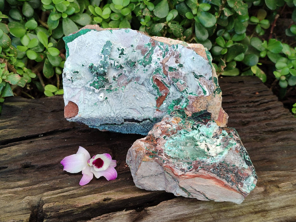 Natural Drusy Coated Chrysocolla with Malachite x 2 From Lupoto Mine, Congo - Toprock Gemstones and Minerals 