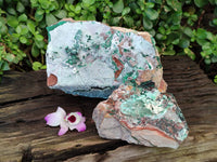 Natural Drusy Coated Chrysocolla with Malachite x 2 From Lupoto Mine, Congo