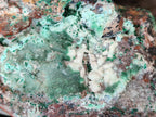 Natural Drusy Coated Chrysocolla with Malachite x 2 From Lupoto Mine, Congo - Toprock Gemstones and Minerals 