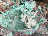 Natural Drusy Coated Chrysocolla with Malachite x 2 From Lupoto Mine, Congo