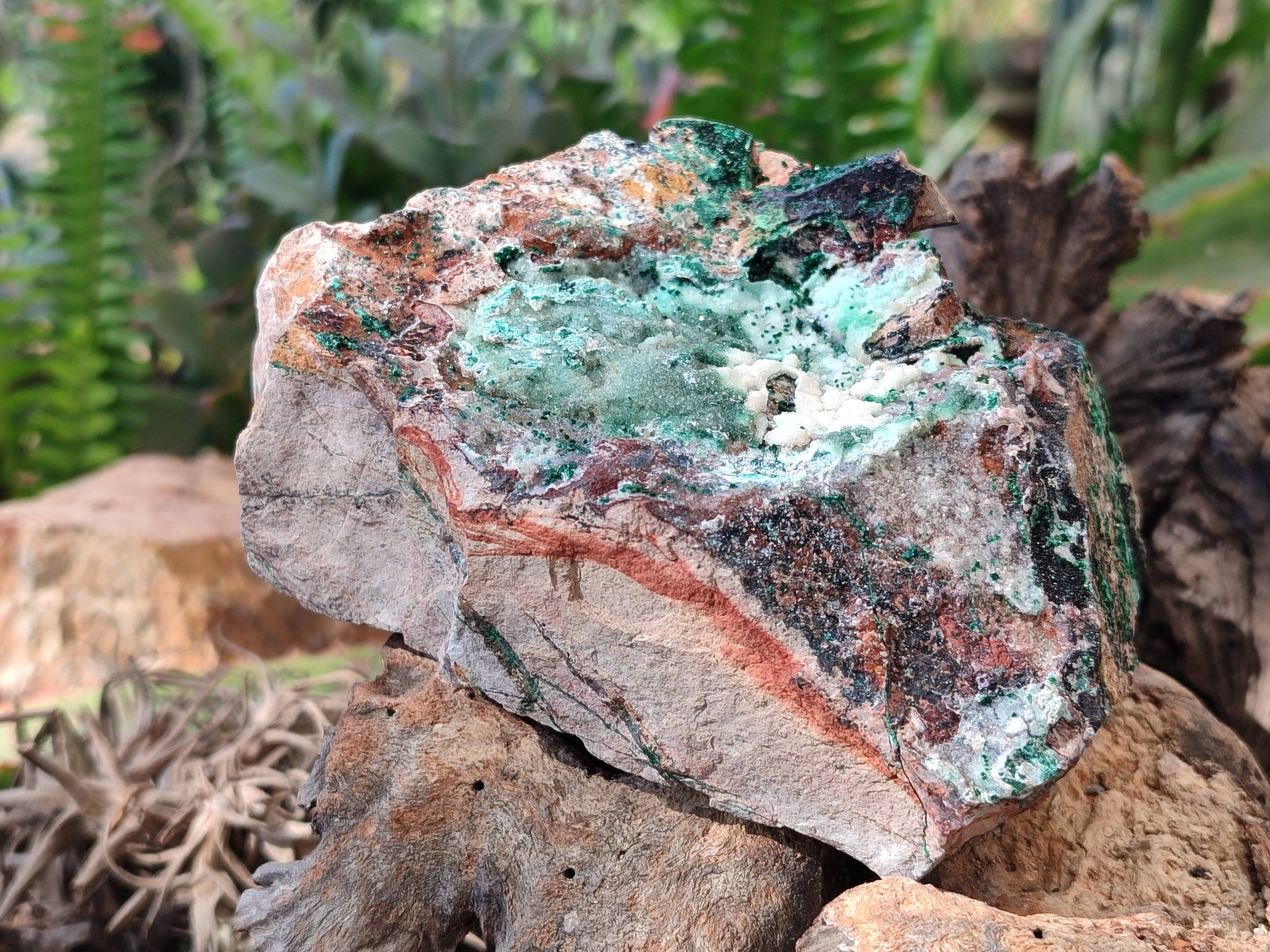 Natural Drusy Coated Chrysocolla with Malachite x 2 From Lupoto Mine, Congo - Toprock Gemstones and Minerals 