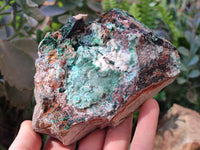Natural Drusy Coated Chrysocolla with Malachite x 2 From Lupoto Mine, Congo