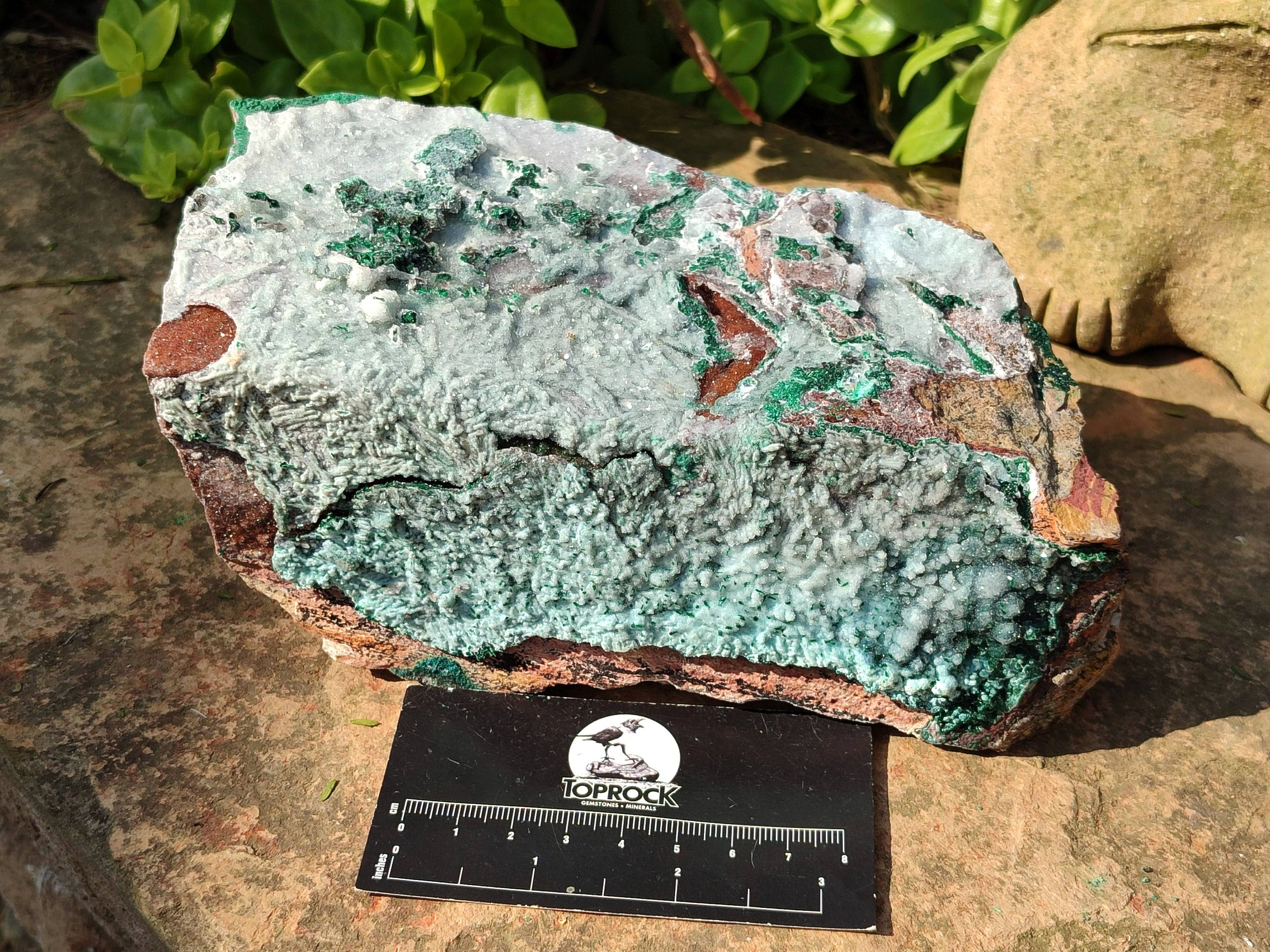 Natural Drusy Coated Chrysocolla with Malachite x 2 From Lupoto Mine, Congo - Toprock Gemstones and Minerals 