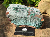 Natural Drusy Coated Chrysocolla with Malachite x 2 From Lupoto Mine, Congo