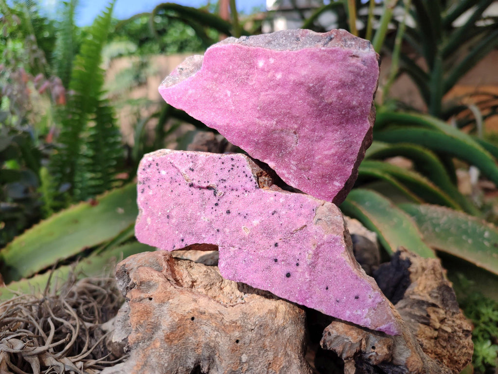 Natural Salrose Cobaltion Dolomite Specimens x 12 From Kakanda, Congo - Toprock Gemstones and Minerals 