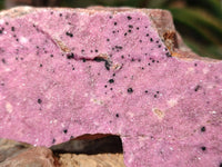 Natural Salrose Cobaltion Dolomite Specimens x 12 From Kakanda, Congo