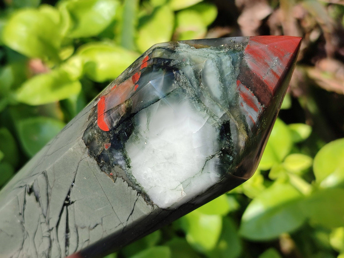 Polished Double Terminated Bloodstone Points x 3 From Swaziland - Toprock Gemstones and Minerals 