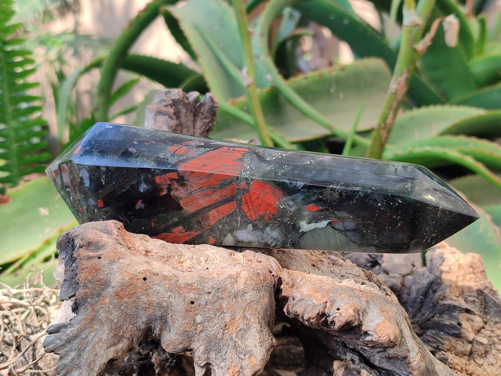 Polished Double Terminated Bloodstone Points x 3 From Swaziland - Toprock Gemstones and Minerals 