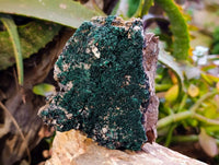 Natural Crystalline Malachite Specimens x 4 From Tenke Fungurume, Congo - Toprock Gemstones and Minerals 