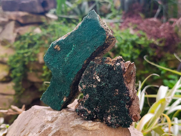 Natural Crystalline Malachite Specimens x 4 From Tenke Fungurume, Congo - Toprock Gemstones and Minerals 