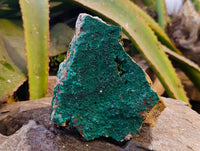 Natural Crystalline Malachite Specimens x 4 From Tenke Fungurume, Congo - Toprock Gemstones and Minerals 