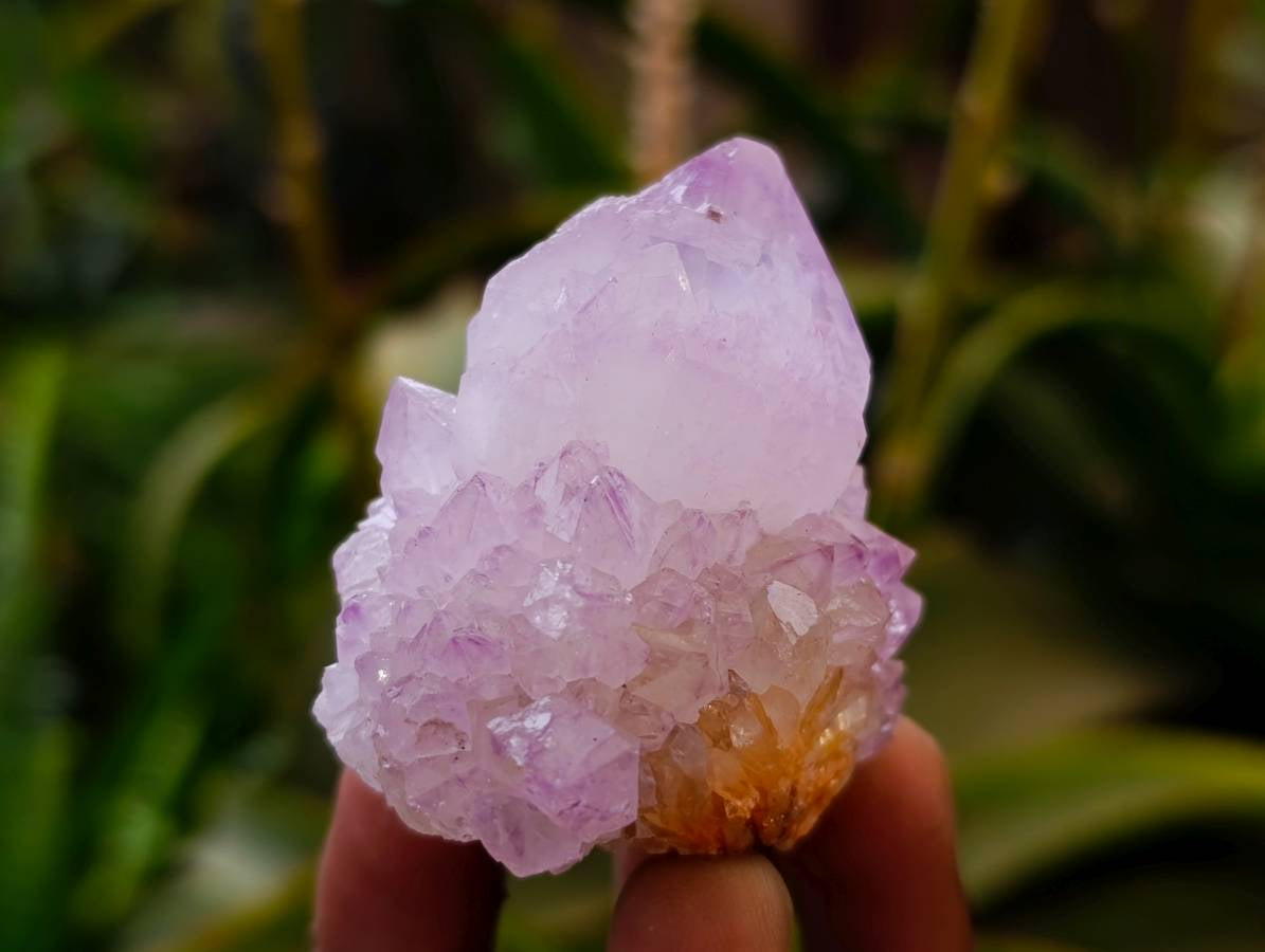 Natural Sunburst Amethyst Spirit Quartz Clusters x 20 From Boekenhouthoek, South Africa - Toprock Gemstones and Minerals 