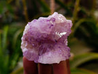 Natural Sunburst Amethyst Spirit Quartz Clusters x 20 From Boekenhouthoek, South Africa - Toprock Gemstones and Minerals 