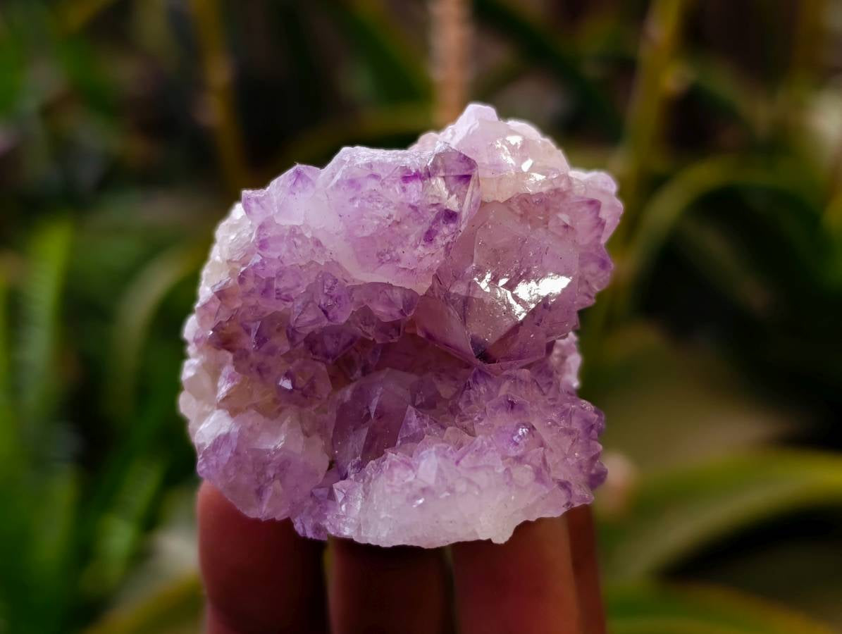 Natural Sunburst Amethyst Spirit Quartz Clusters x 20 From Boekenhouthoek, South Africa - Toprock Gemstones and Minerals 