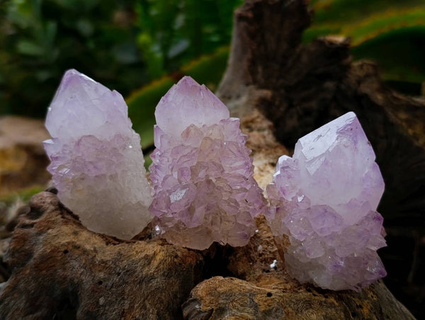 Natural Sunburst Amethyst Spirit Quartz Clusters x 20 From Boekenhouthoek, South Africa