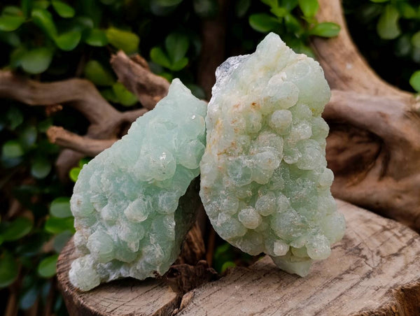 Natural Botryoidal Prehnite Specimens x 6 From Beaufort West, South Africa