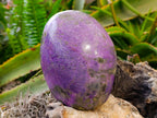 Polished Stichtite Standing Free Form x 2 From Barberton, South Africa - Toprock Gemstones and Minerals 