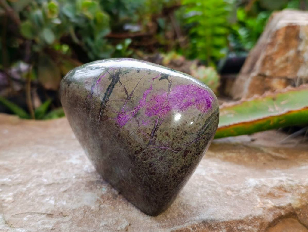Polished Stichtite Standing Free Form x 2 From Barberton, South Africa - Toprock Gemstones and Minerals 
