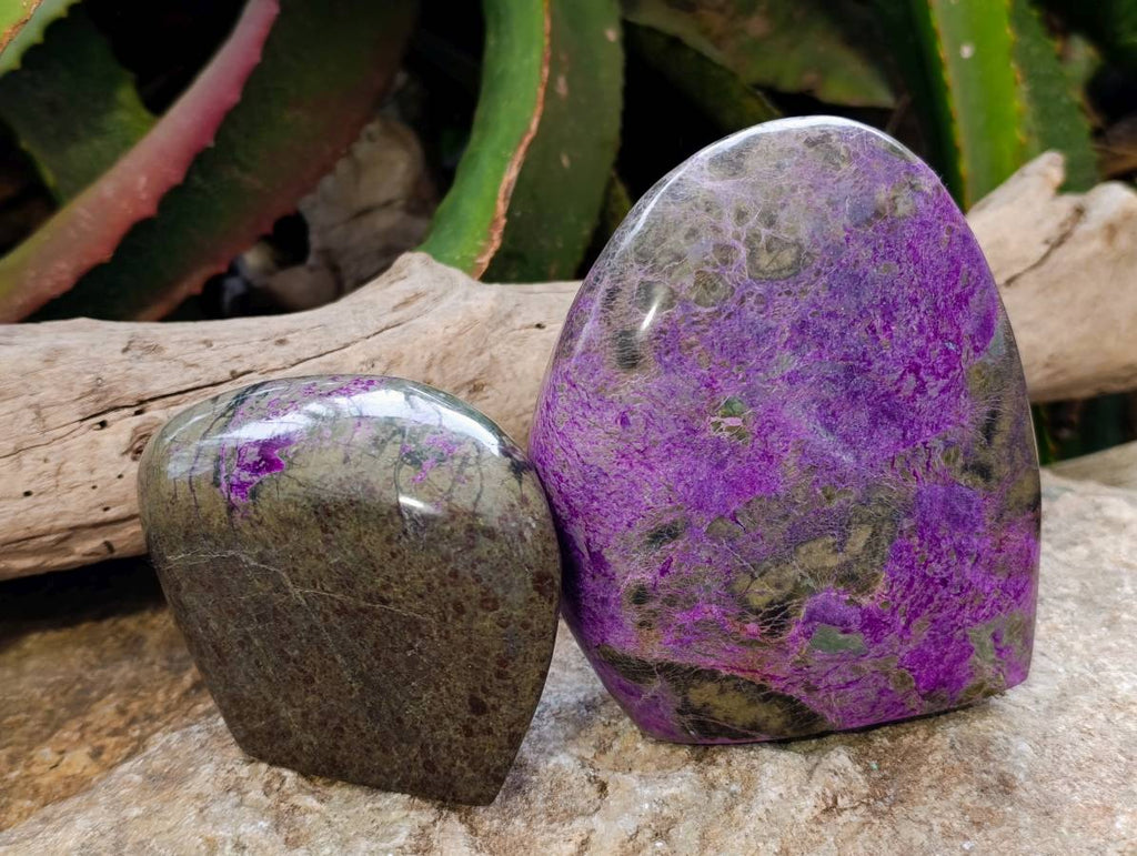 Polished Stichtite Standing Free Form x 2 From Barberton, South Africa - Toprock Gemstones and Minerals 