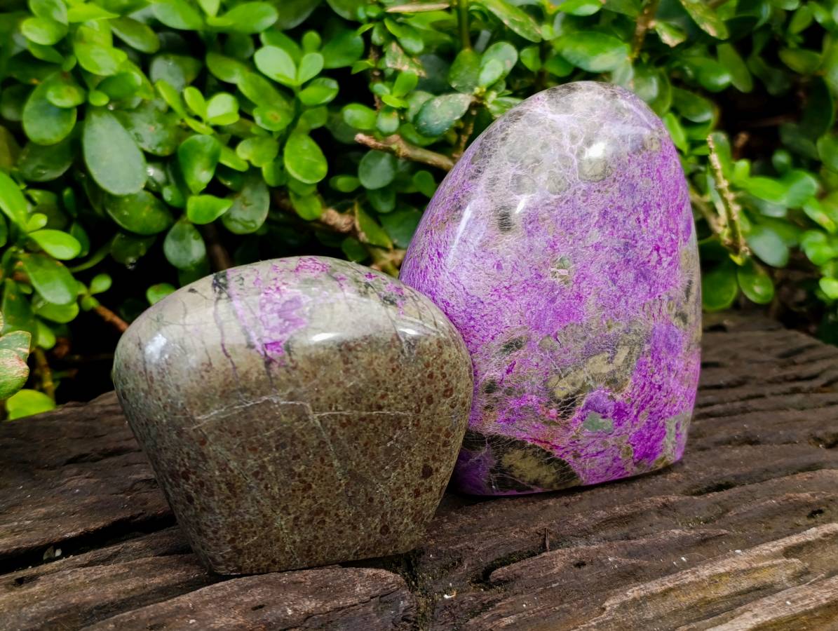Polished Stichtite Standing Free Form x 2 From Barberton, South Africa - Toprock Gemstones and Minerals 