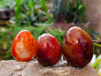 Polished Carnelian Agate Gemstone Eggs x 12 From Madagascar