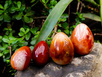 Polished Carnelian Agate Gemstone Eggs x 12 From Madagascar