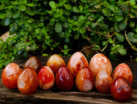 Polished Carnelian Agate Gemstone Eggs x 12 From Madagascar