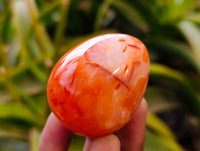 Polished Carnelian Agate Gemstone Eggs x 12 From Madagascar