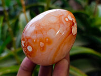 Polished Carnelian Agate Gemstone Eggs x 12 From Madagascar