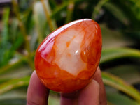 Polished Carnelian Agate Gemstone Eggs x 12 From Madagascar