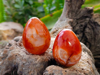 Polished Carnelian Agate Gemstone Eggs x 12 From Madagascar