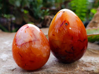 Polished Carnelian Agate Gemstone Eggs x 12 From Madagascar