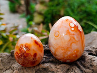 Polished Carnelian Agate Gemstone Eggs x 12 From Madagascar